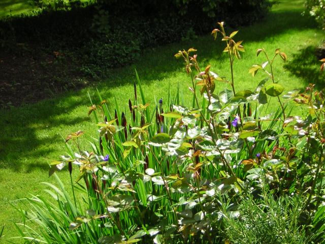 DSCN1812.jpg