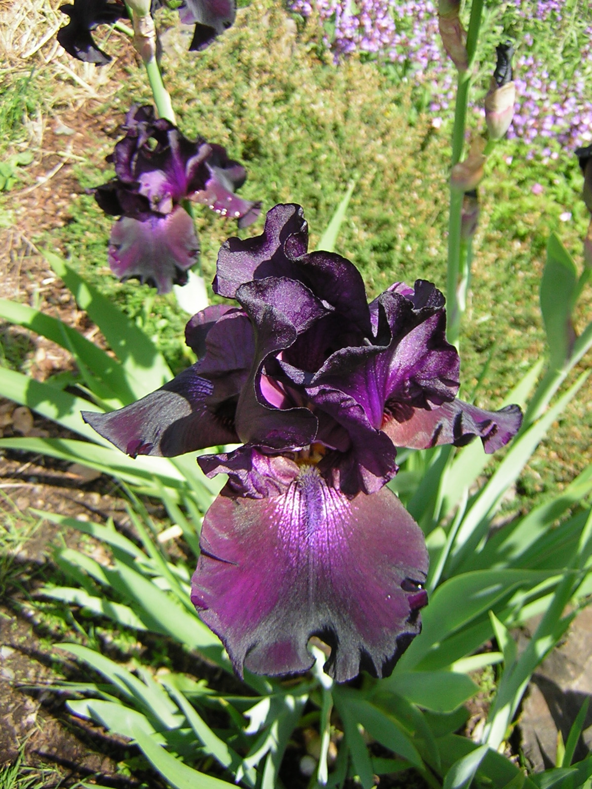 DSCN1813.jpg
