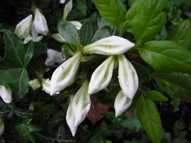 DSCN1828.jpg