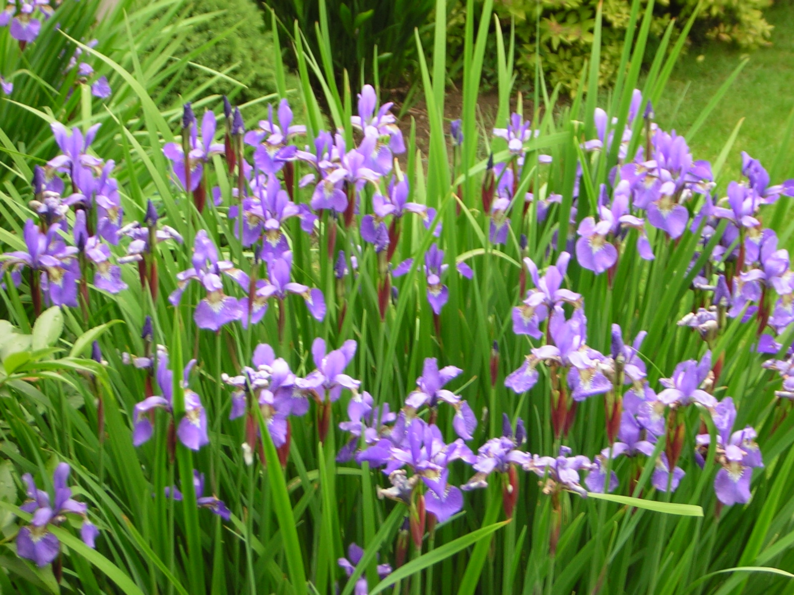 DSCN1835.jpg