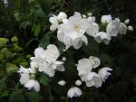 DSCN1842.jpg