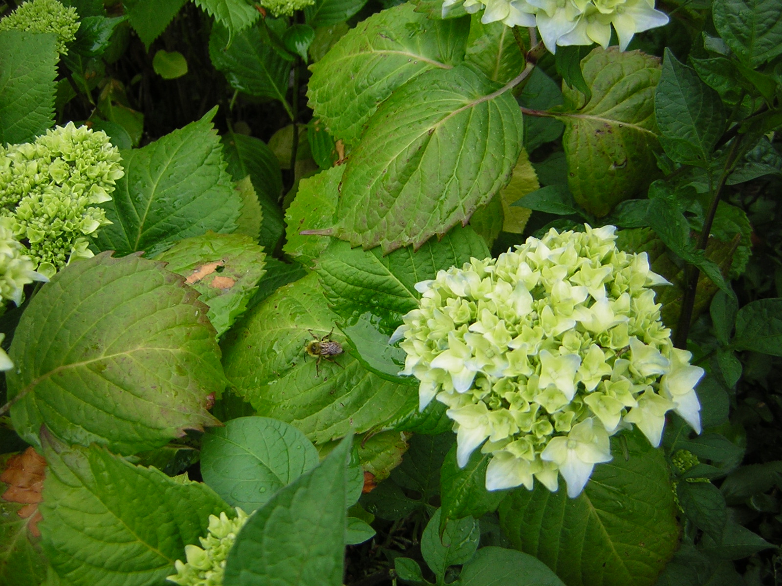 DSCN1843.jpg