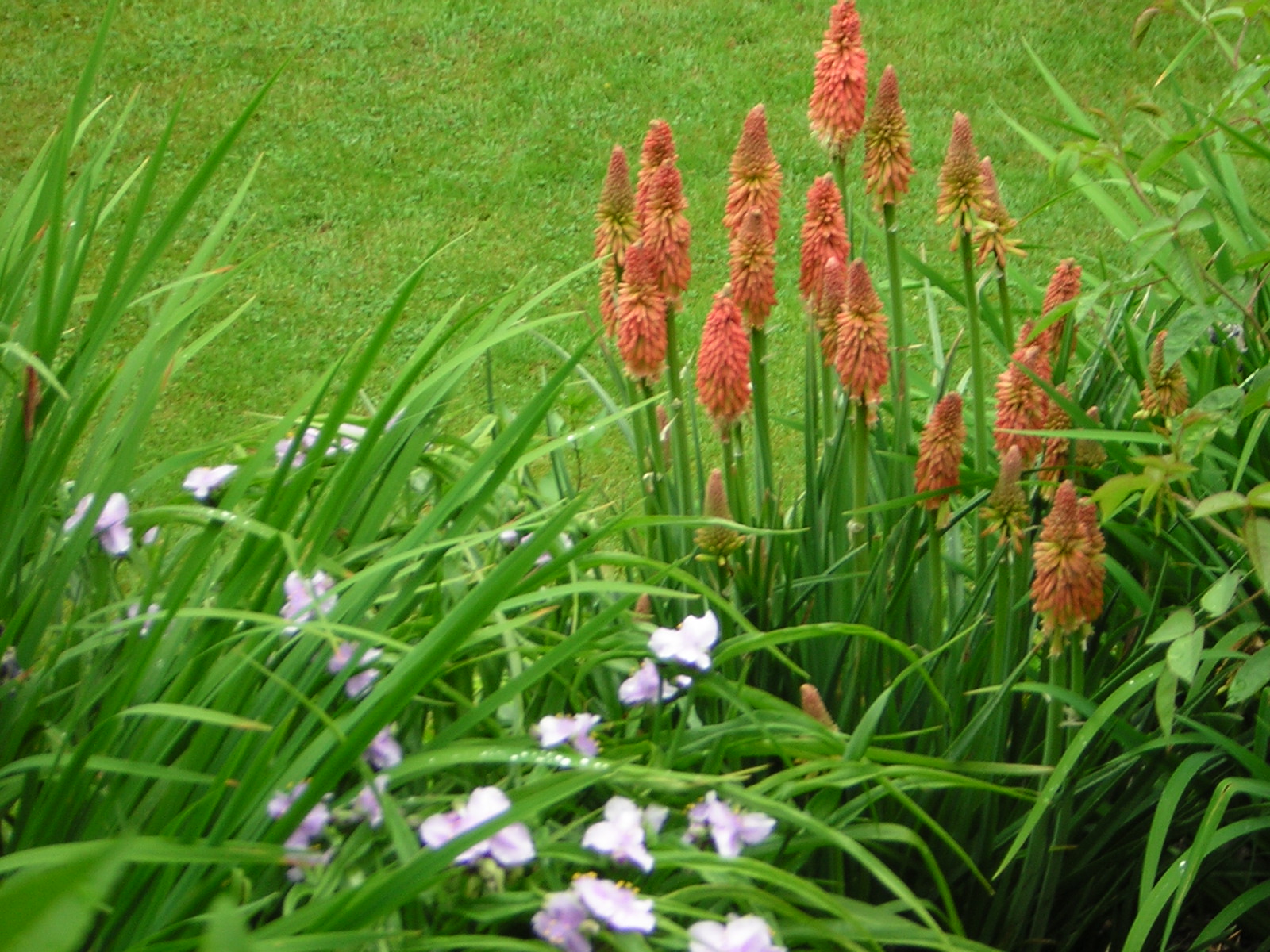 DSCN1844.jpg