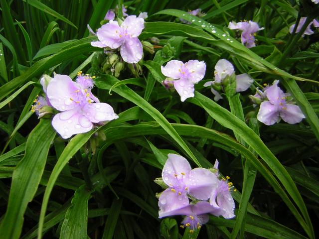DSCN1846.jpg