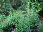 DSCN1853.jpg