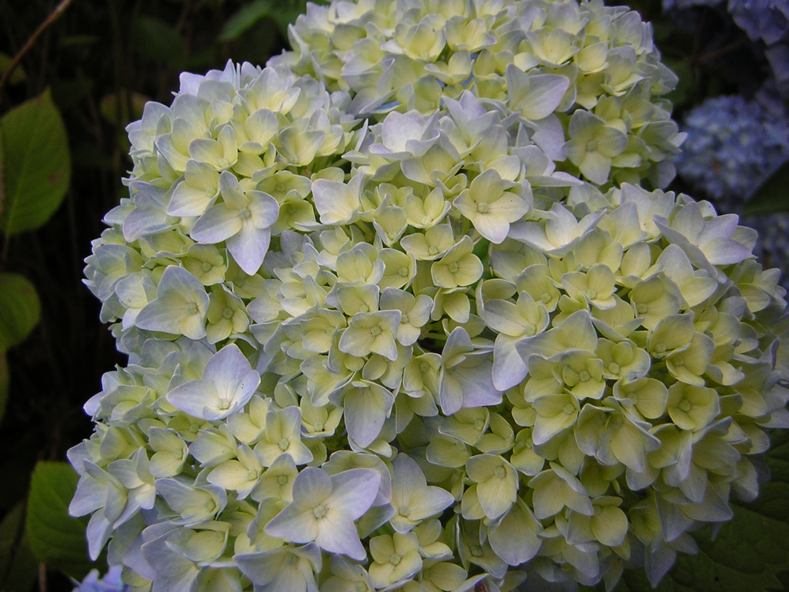 DSCN2028.jpg