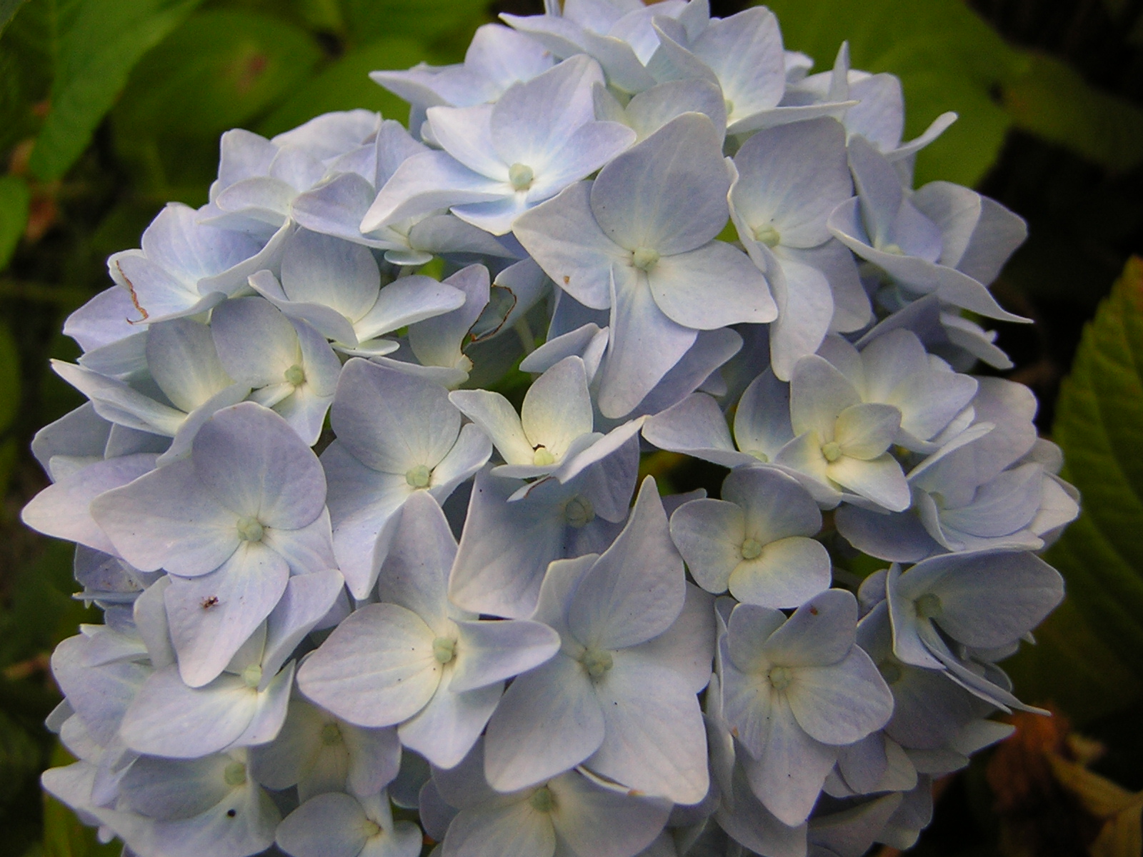 DSCN2029.jpg