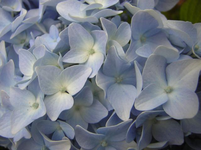 DSCN2031.jpg