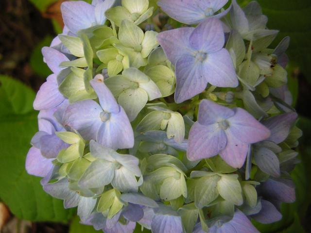 DSCN2049.jpg