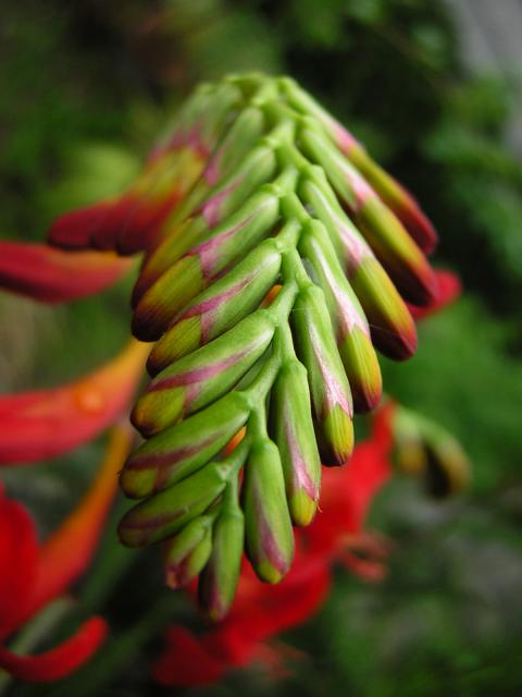 DSCN2068.jpg