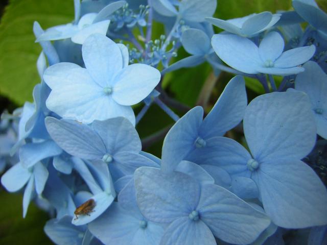 DSCN2069.jpg