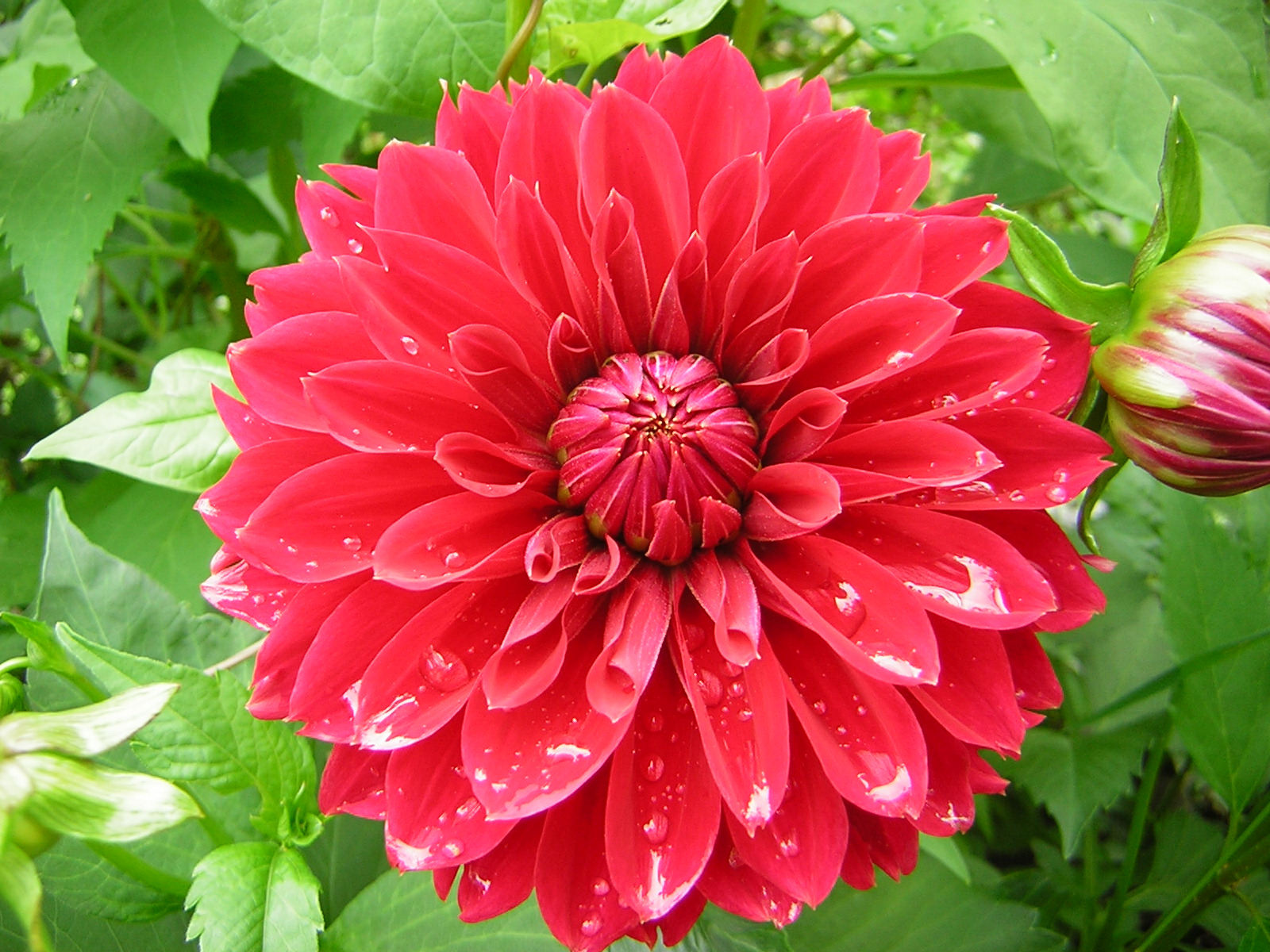 DSCN2073.jpg