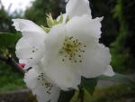 DSCN2083.jpg