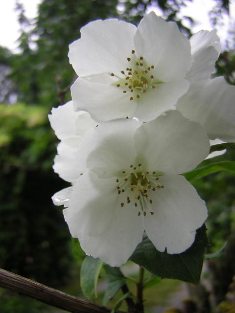 DSCN2084.jpg