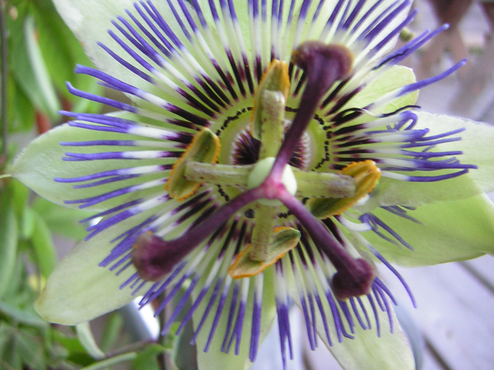 DSCN2456.jpg