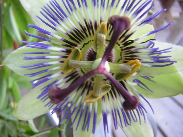 DSCN2456.jpg
