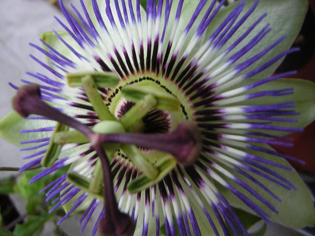 DSCN2458.jpg
