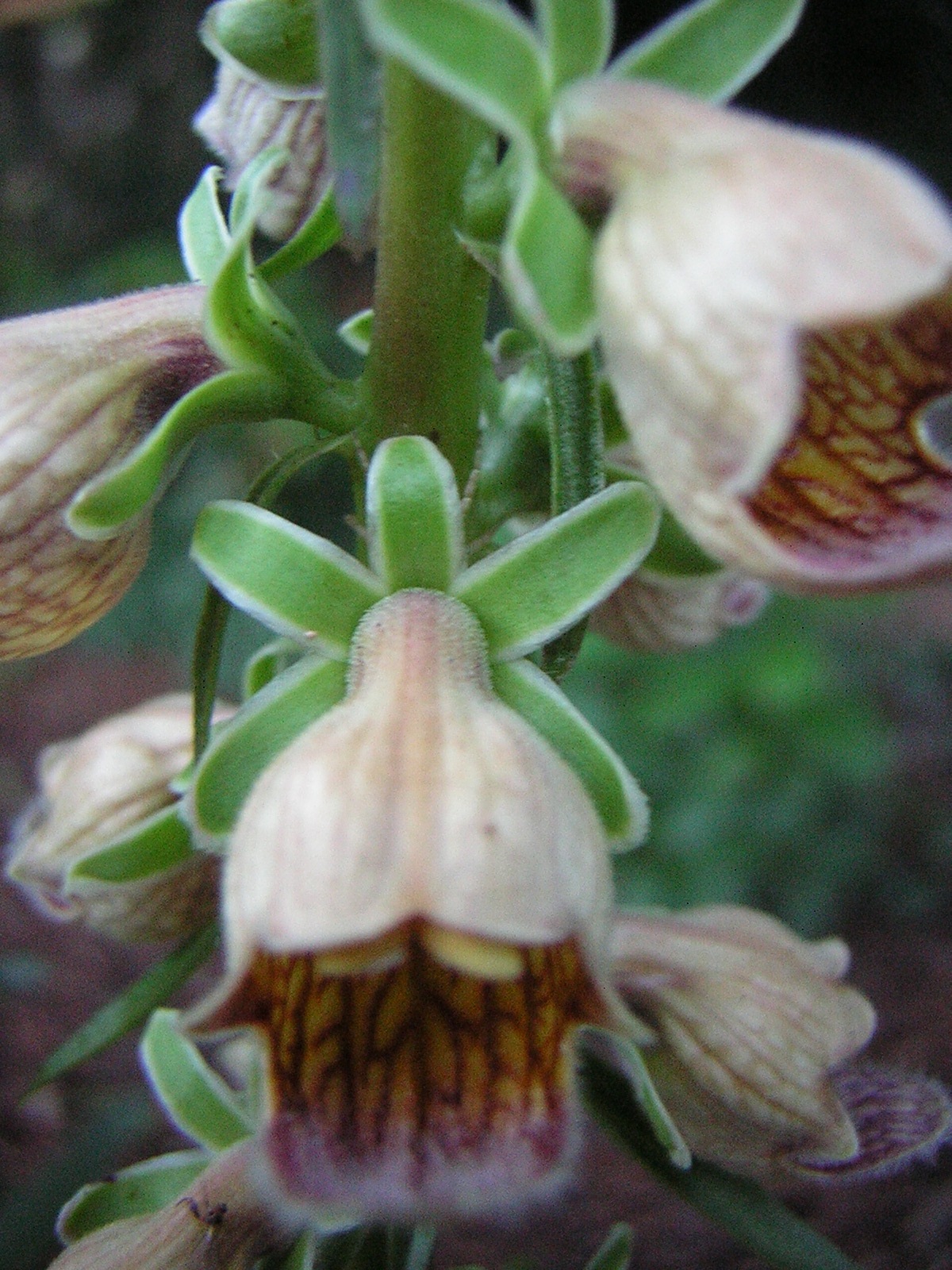 DSCN2460.jpg