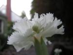 DSCN2464.jpg