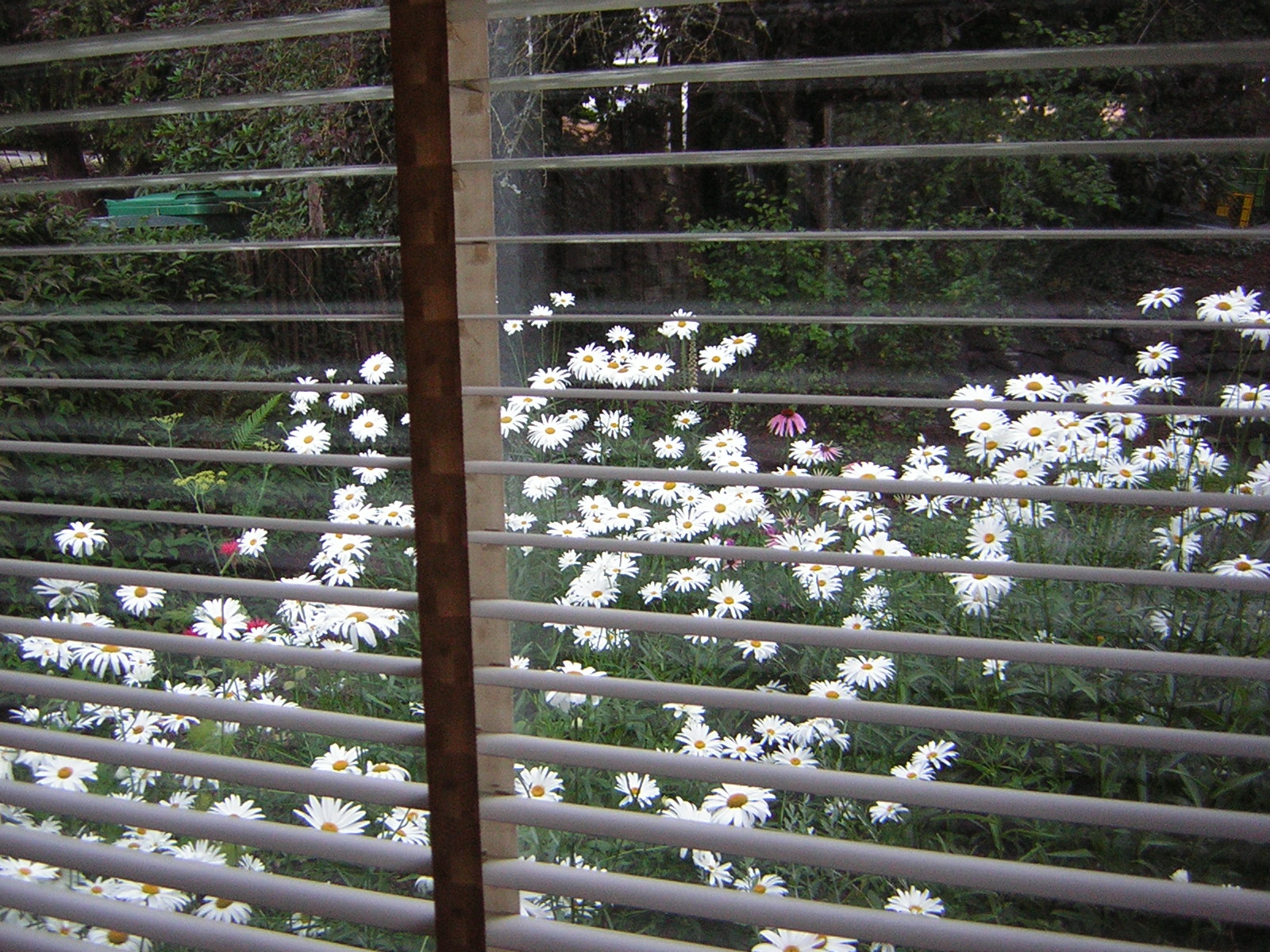 DSCN2465.jpg