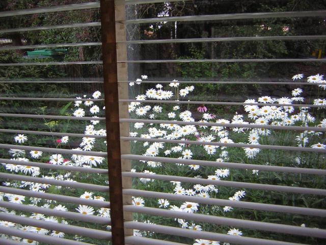 DSCN2465.jpg