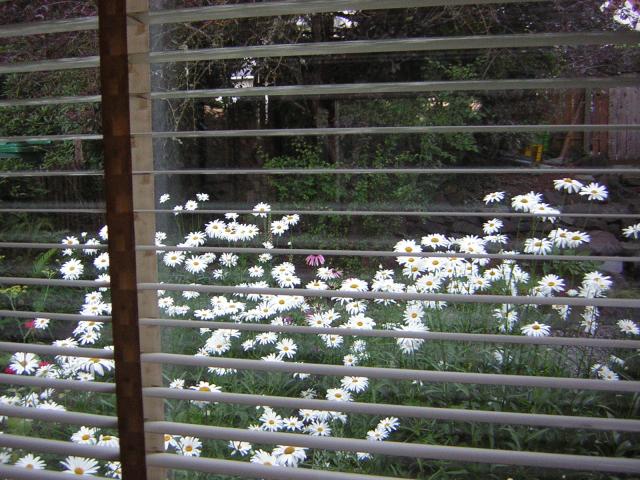 DSCN2466.jpg