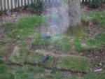 DSCN1221.jpg