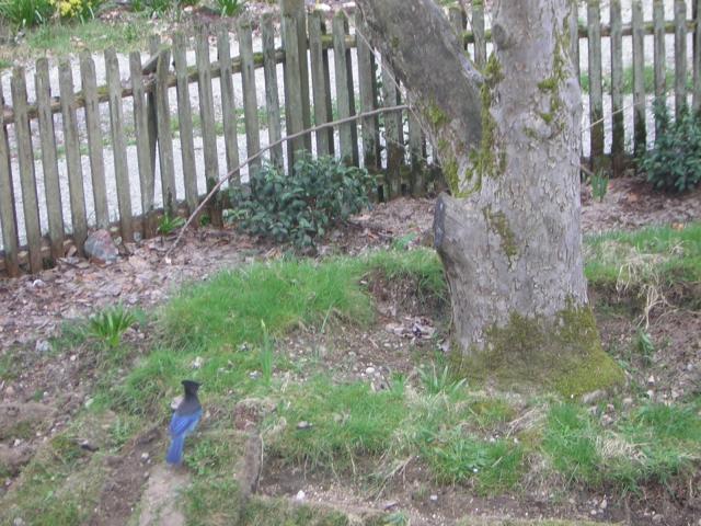 DSCN1222.jpg