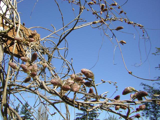 DSCN1393.jpg
