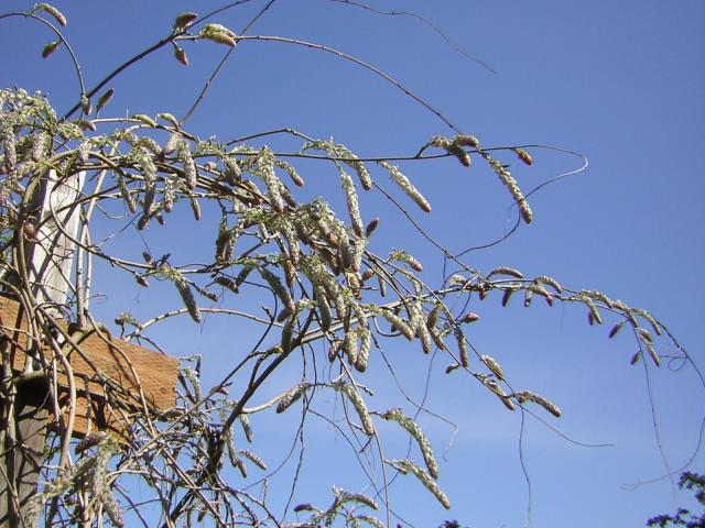 DSCN1444.jpg