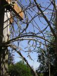 DSCN1446.jpg