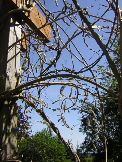 DSCN1446.jpg