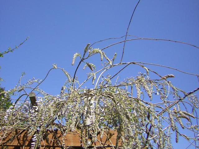 DSCN1470.jpg