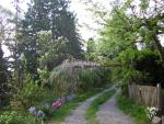 DSCN1481.jpg