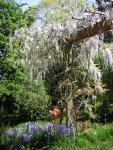 DSCN1485.jpg
