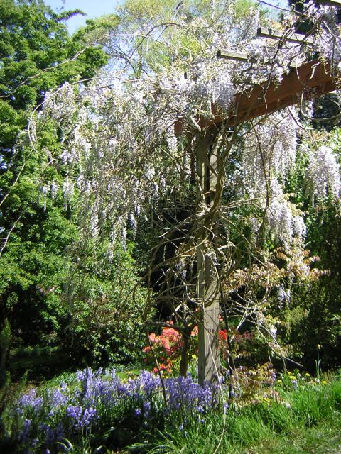 DSCN1485.jpg