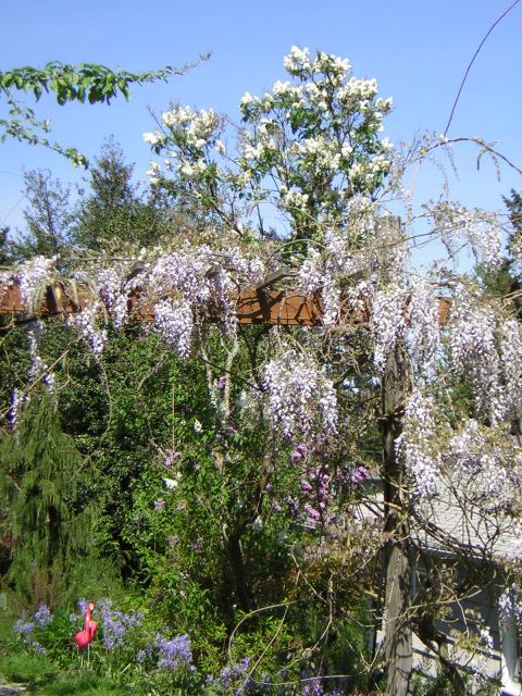 DSCN1486.jpg