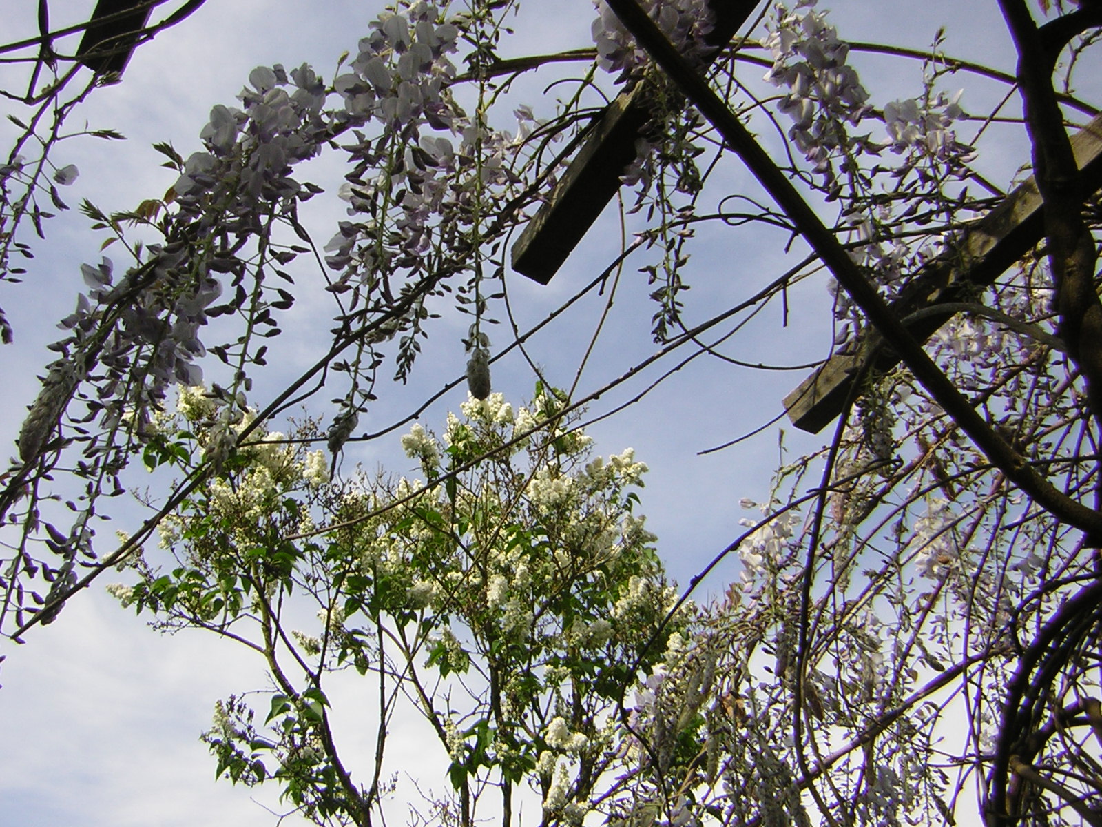 DSCN1501.jpg
