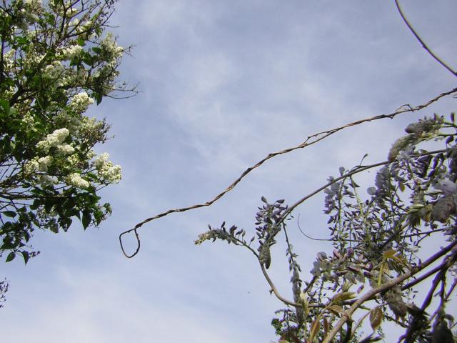 DSCN1503.jpg