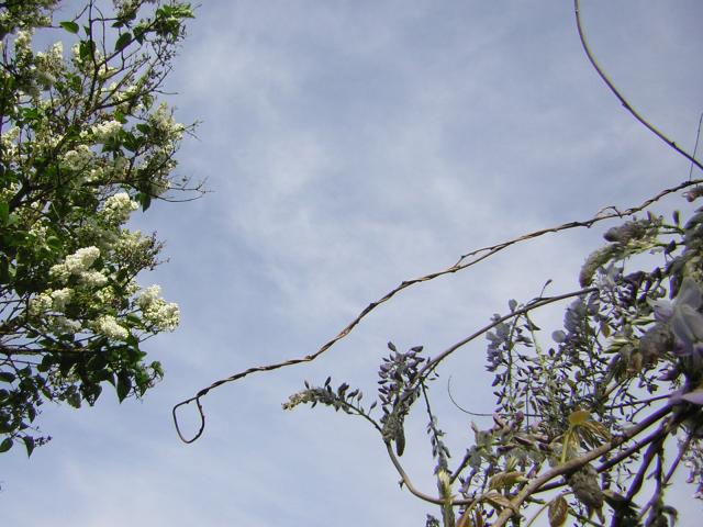 DSCN1504.jpg