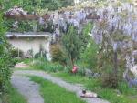 DSCN1525.jpg