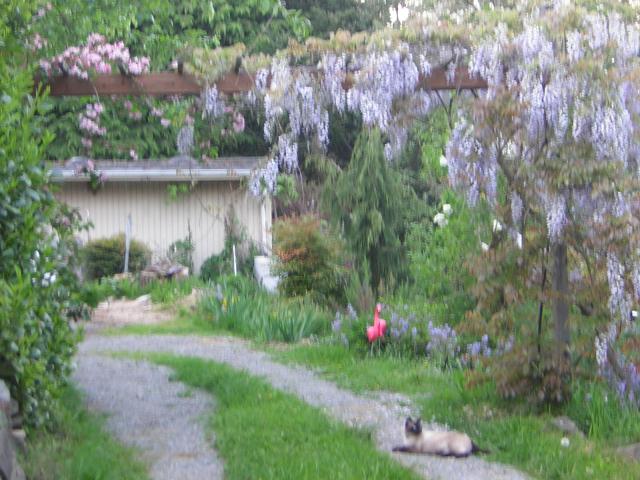 DSCN1526.jpg