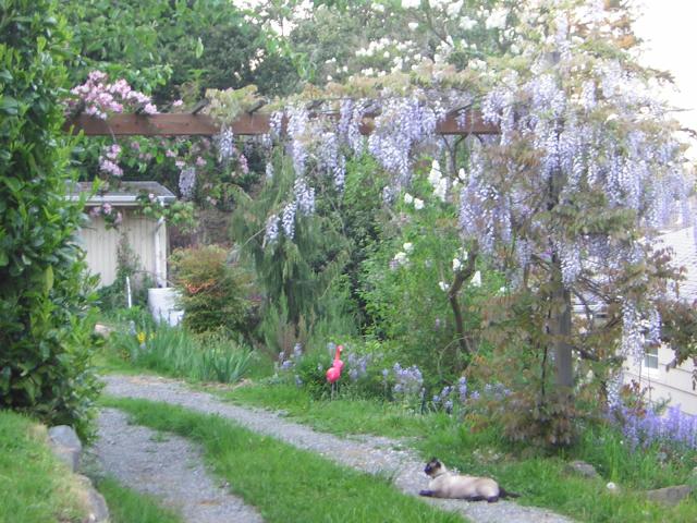 DSCN1527.jpg