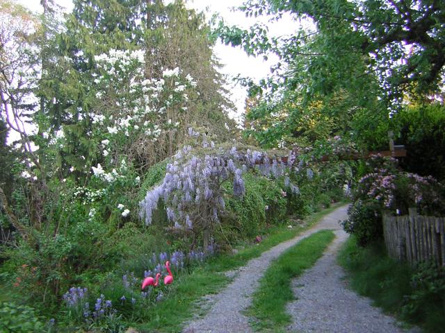 DSCN1530.jpg