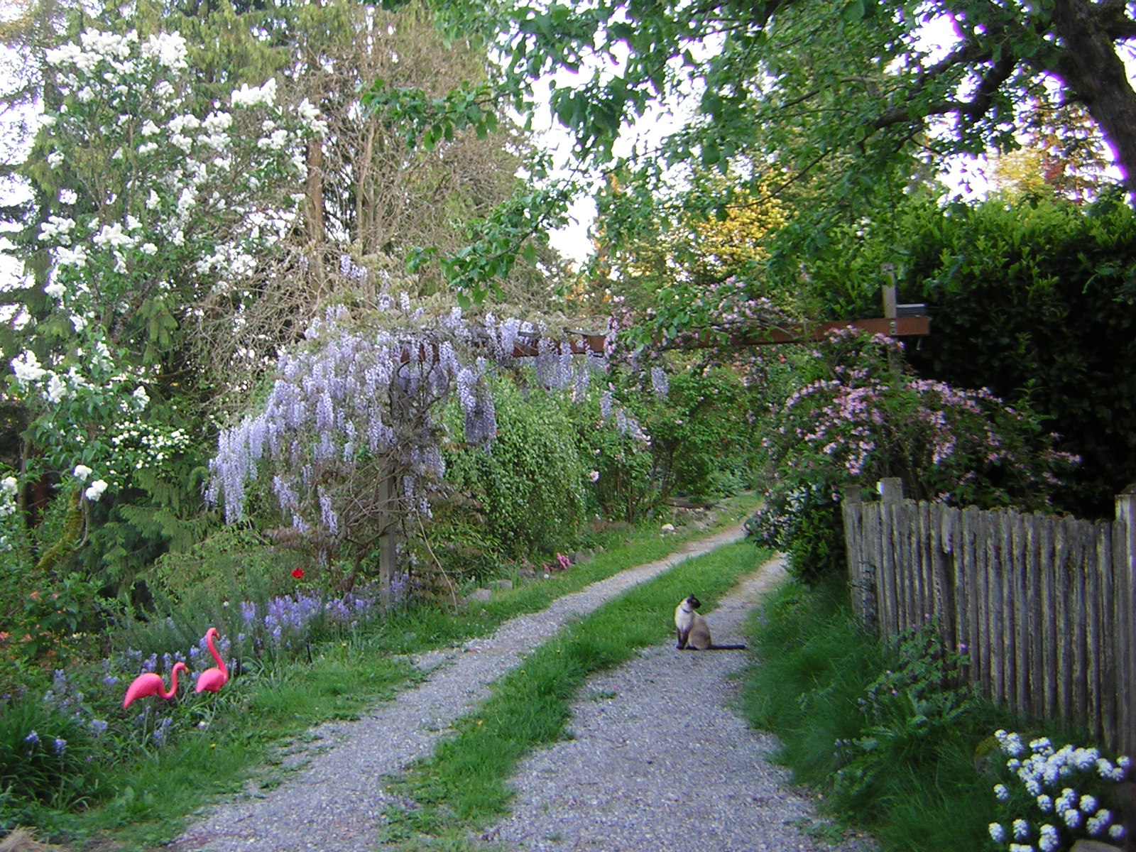 DSCN1533.jpg