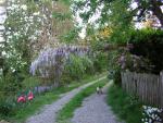 DSCN1533.jpg