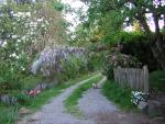DSCN1534.jpg