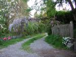 DSCN1535.jpg