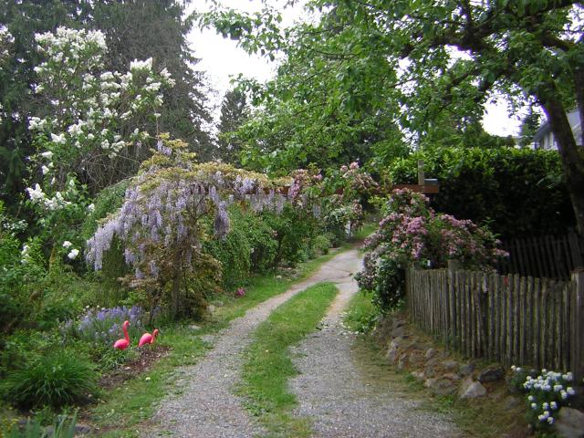 DSCN1544.jpg