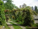 DSCN1761.jpg